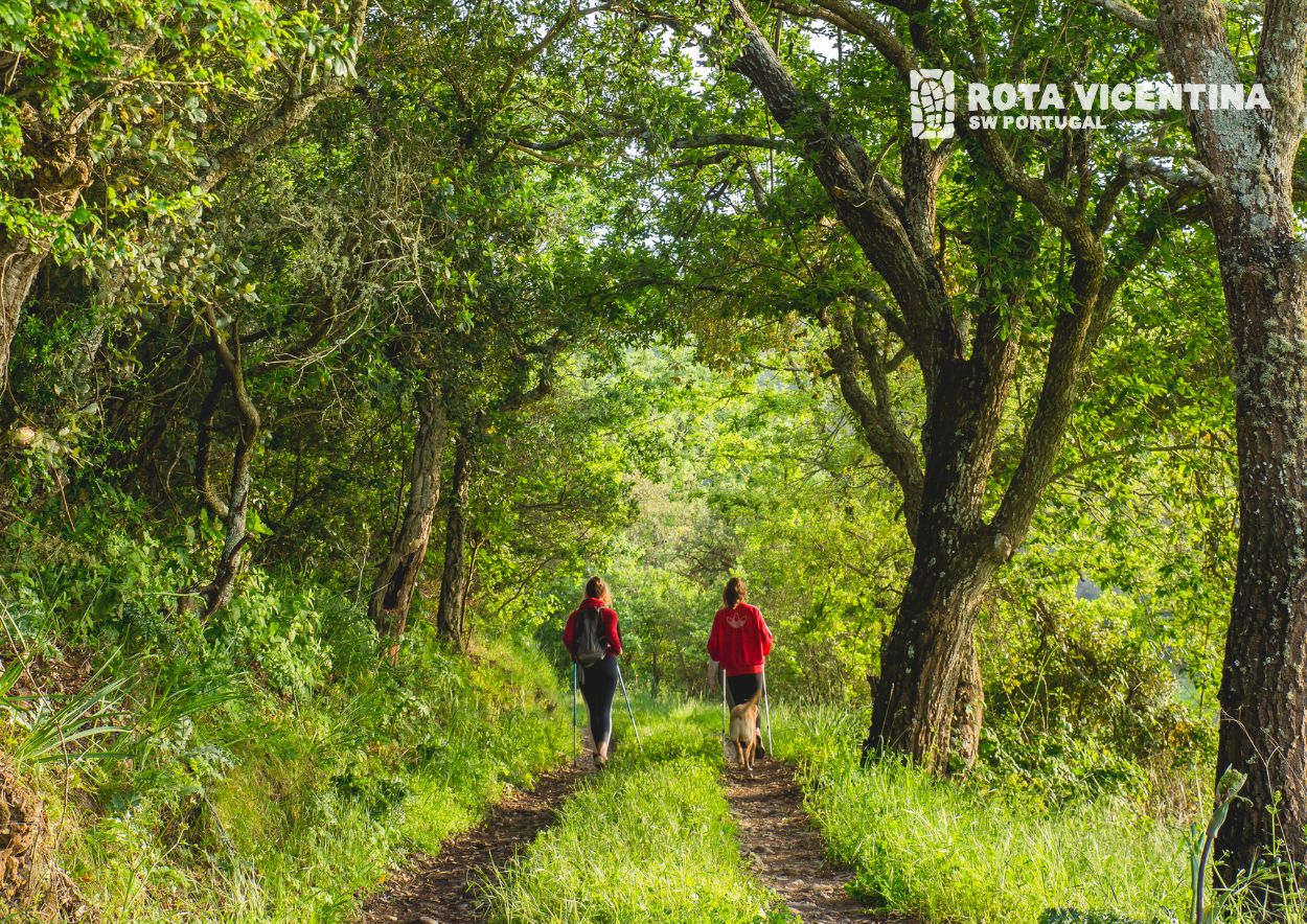 Jovem a fazer voluntariado na Rota Vicentina