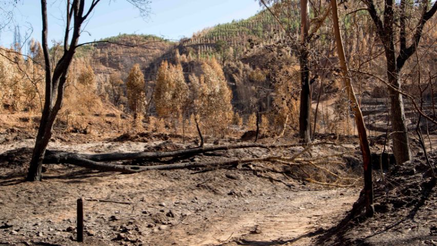 incêndio agosto 2023 odemira