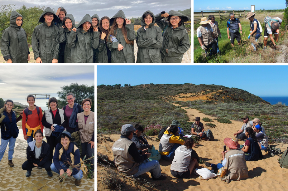 Grupos de voluntários numa ação de conservação