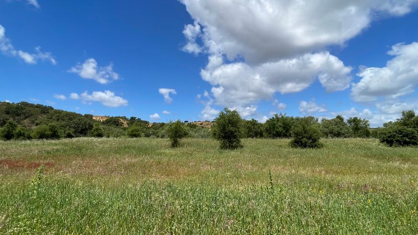 paisagem do caminho histórico