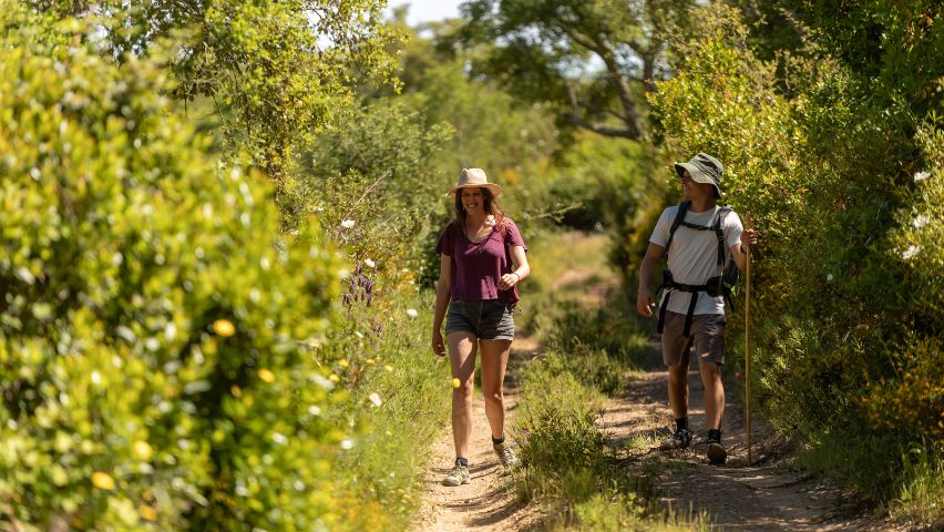 voluntários em marcha