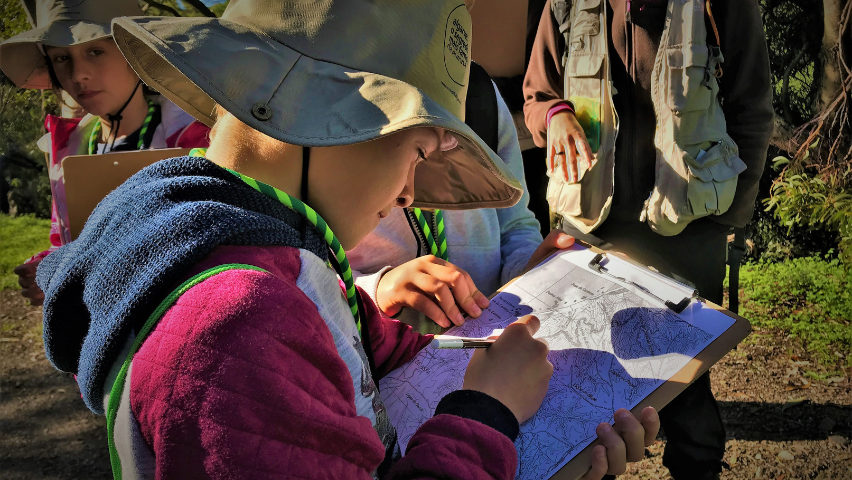 atividades de conservaçao